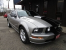 2008 FORD MUSTANG GT DELUXE